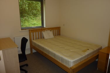 3 bed flat, Hoopern Mews, Near university, Exeter, EX44AW - Image 6